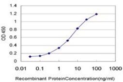 ANTI-RCV1 antibody produced in mouse clone 4C10, purified immunoglobulin, buffered aqueous solution