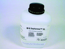 Q Sepharose™ Xl Cytiva 17-5072-01, pack of 300 mL