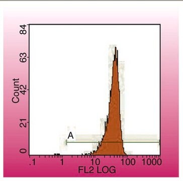 Anti-CD45 Antibody, clone IBL-5/25 clone IBL-5/25, from rat