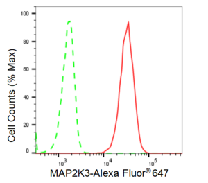 KD-Validated Anti MAP2K3 Antibody, clone 23GB2420, Rabbit Monoclonal clone 23GB2420, recombinant rabbit monoclonal, expressed in HEK293 cells