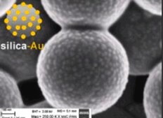 Gold coated silica nanoparticles 1 wt. % in water, 800 nm (non porous silica), 20 nm (gold nanoparticles)