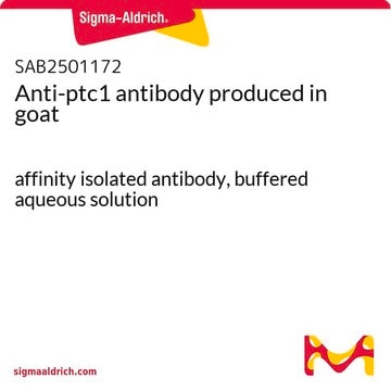 Anti-ptc1 antibody produced in goat affinity isolated antibody, buffered aqueous solution