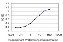 Monoclonal Anti-KCNJ10 antibody produced in mouse clone 1C11, purified immunoglobulin, buffered aqueous solution