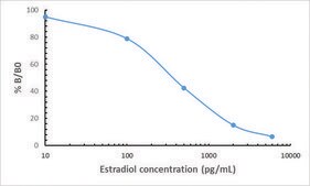 Anti-Estradiol antibody, Rabbit monoclonal recombinant, expressed in HEK 293 cells, clone RM343, purified immunoglobulin