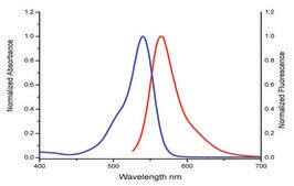二苯并环辛炔-PEG4-氟545染色剂 for Copper-free Click Chemistry