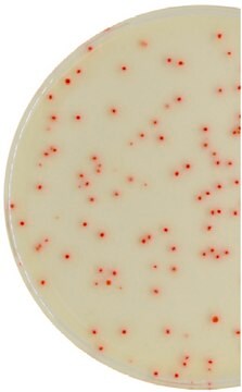 C. perfringens Millichrome&#8482; plus Agar Base selective for bacteria: Clostridium perfringens, suitable for microbiology