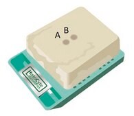 ALK-Lung Analyte Control Cell line controls for immunohistochemistry and in situ hybridization