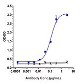 Anti-IL-5 Reference Antibody