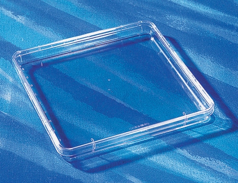 Nunc&#174; Bioassay Dish with lid, L × W × H 245&#160;mm × 245&#160;mm × 25&#160;mm