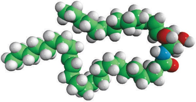 C24:1 Ceramide (d17:1/24:1(15Z)) Avanti Research™ - A Croda Brand 860650P, powder