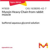 肌球蛋白重链 来源于兔肌肉 buffered aqueous glycerol solution