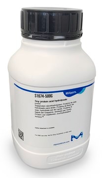Soy protein acid hydrolysate powder, from Glycine max (soybean)