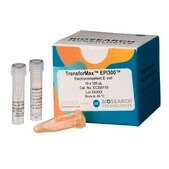 TransforMax EPI300 Chemically Competent E. coli pkg of 10 reactions (10 x 50 µL), Cfu/µg ≥5 x 108