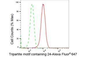 KD-Validated Anti Tripartite motif containing 24 Antibody, clone 23GB4235, Rabbit Monoclonal clone 23GB4235, recombinant rabbit monoclonal, expressed in HEK293 cells