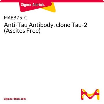 Anti-Tau Antibody, clone Tau-2 (Ascites Free)