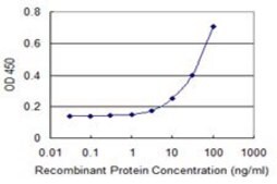 Monoclonal Anti-GRINL1A, (C-terminal) antibody produced in mouse clone 2E4, purified immunoglobulin, buffered aqueous solution