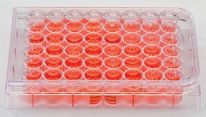 Sigma ® 细胞培养板 size 48 wells, flat bottom, sterile, tissue-culture treated, pack of 100 ea individually packed