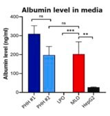 3dGRO® Human iPSC Derived Liver Organoid Progenitors