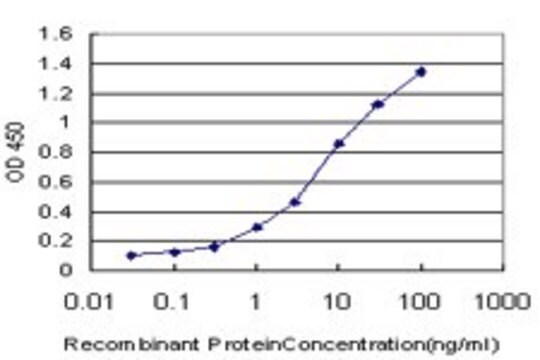 ANTI-TCL1A antibody produced in mouse clone 1E8, purified immunoglobulin, buffered aqueous solution