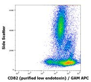 Monoclonal Anti-CD82 purified low endotoxin produced in mouse