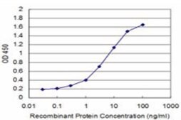 Monoclonal Anti-ATBF1 antibody produced in mouse clone 3B1, purified immunoglobulin, buffered aqueous solution