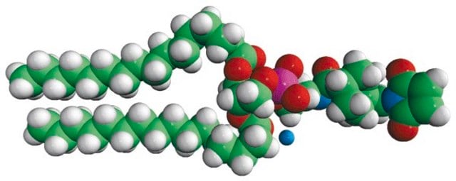 16:0 PE MCC 1,2-dipalmitoyl-sn-glycero-3-phosphoethanolamine-N-[4-(p-maleimidomethyl)cyclohexane-carboxamide] (sodium salt), powder