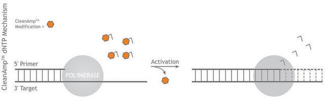 CleanAmp&#8482; dNTP Hot-start dNTP mix for improved PCR