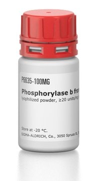 Phosphorylase b from rabbit muscle lyophilized powder, &#8805;20&#160;units/mg protein, 2&#215; crystallization