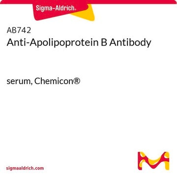 抗载脂蛋白B抗体 serum, Chemicon&#174;