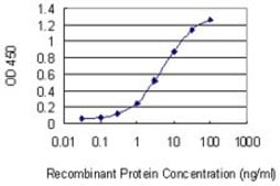 Monoclonal Anti-CRKRS antibody produced in mouse clone 1H4, purified immunoglobulin, buffered aqueous solution