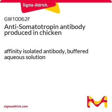 Anti-Somatotropin antibody produced in chicken affinity isolated antibody, buffered aqueous solution