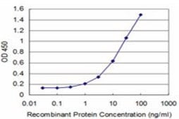 ANTI-MEF2A antibody produced in mouse clone 2F10, purified immunoglobulin, buffered aqueous solution
