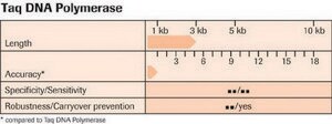 PCR Core试剂盒 sufficient for &#8804;100&#160;reactions, kit of 1 (5 components), suitable for PCR