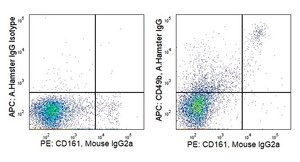 Anti-Mouse CD49b (HMa2) ColorWheel® Dye-Ready mAb