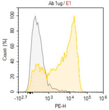 Anti-DNAM-1/CD226 Antibody, clone 11A8