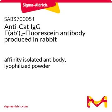 Anti-Cat IgG F(ab&#8242;)2-Fluorescein antibody produced in rabbit affinity isolated antibody, lyophilized powder