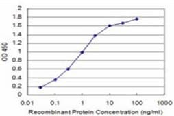 Monoclonal Anti-TAOK3 antibody produced in mouse clone 2B8, purified immunoglobulin, buffered aqueous solution