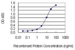 Monoclonal Anti-C7ORF16, (N-terminal) antibody produced in mouse clone 3E6, purified immunoglobulin, buffered aqueous solution