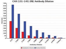 Anti-CA9 (131-145) antibody produced in rabbit IgG fraction of antiserum, buffered aqueous solution