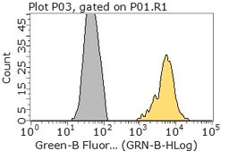 BioTracker™ TAS2 Proteasome Activity Live Cell Probe