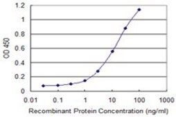 Monoclonal Anti-COL14A1 antibody produced in mouse clone 1C8, purified immunoglobulin, buffered aqueous solution