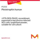 Pleiotrophin human ≥97% (SDS-PAGE), recombinant, expressed in baculovirus infected Sf21 cells, lyophilized powder, suitable for cell culture