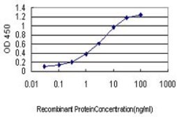 Monoclonal Anti-PTK2 antibody produced in mouse clone 1C1, purified immunoglobulin, buffered aqueous solution