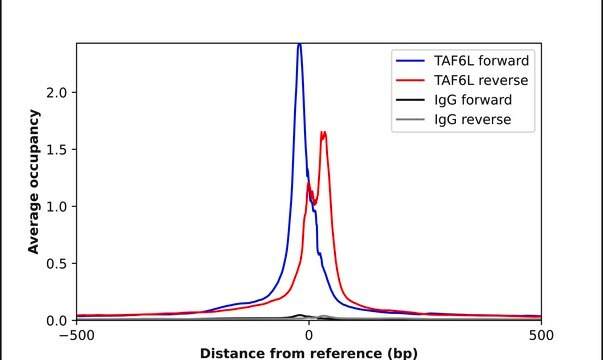 Anti-TAF6L antibody produced in rabbit Prestige Antibodies&#174; Powered by Atlas Antibodies, affinity isolated antibody, buffered aqueous glycerol solution