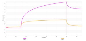 Anti-DCTN1 Antibody, clone 2B11 ZooMAb® Rabbit Monoclonal recombinant, expressed in HEK 293 cells