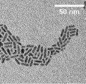 CdSe/CdS core-shell type quantum rods fluorescence λem 530 nm, 5 mg/mL in hexane