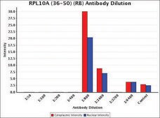 Anti-RPL10A (36-50) antibody produced in rabbit IgG fraction of antiserum, buffered aqueous solution