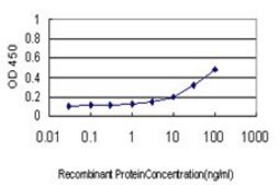 Monoclonal Anti-DAZ1 antibody produced in mouse clone 4F3, purified immunoglobulin, buffered aqueous solution