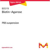 Biotin−Agarose PBS suspension