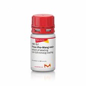 Fmoc-Pro-Wang resin extent of labeling: 0.4-0.8 mmol/g loading